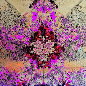 Tranh đá xuyên sáng